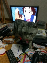 07c198dfdc4cc83a3570.webp