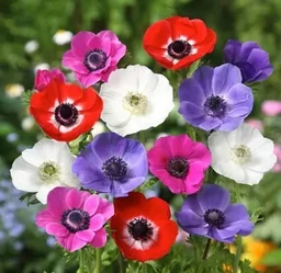 26da3865b0430183c6f2.webp