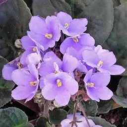 54c01c0dc8a1e19286ab.webp
