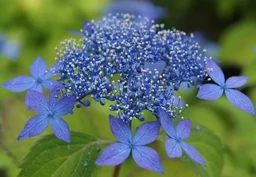 768047c64322a8c98218.webp