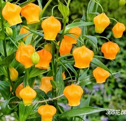 7c020f226b870fa67903.webp