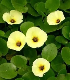 83f7a186153c1bfa7045.webp