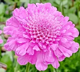 900b25d0620afbe989d1.webp