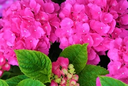 95e3ce4388cc4a9b8ad1.webp