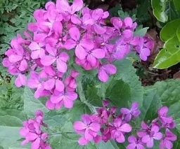 a563cea29c994fb5db6d.webp