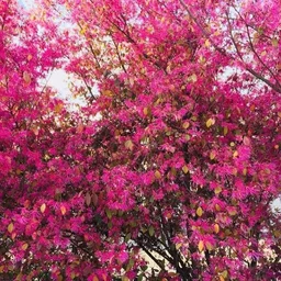 d357226aa65238d76d89.webp