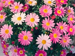 d5e78ed266e193176e12.webp