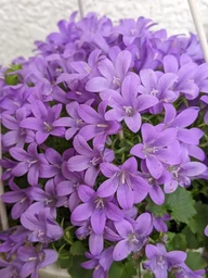 d8792f9bddffad47a311.webp