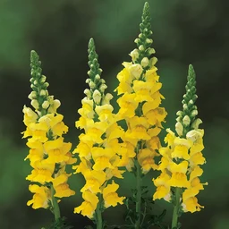 e389f29b819e82141fa2.webp