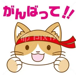 a09447a5c41a6ccc0749.webp