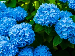 c61dfb7d722cf9653931.webp